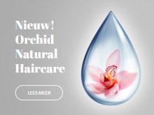 Ontdek de wereld van Artistique Orchid