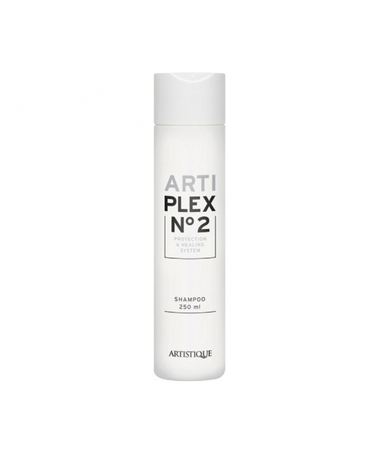Artistique artiplex no2 shampoo 250ml