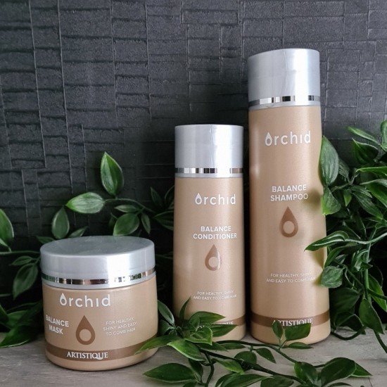 Artistique orchid balance pakket jehaarwinkel alkmaar